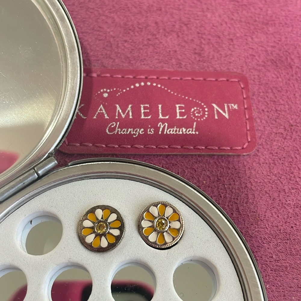 Kameleon set of 2 yellow/white flower pops EUC